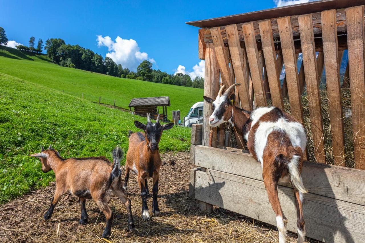 Biobauernhof Stegerbauer Apartamento Maria Alm am Steinernen Meer Exterior foto