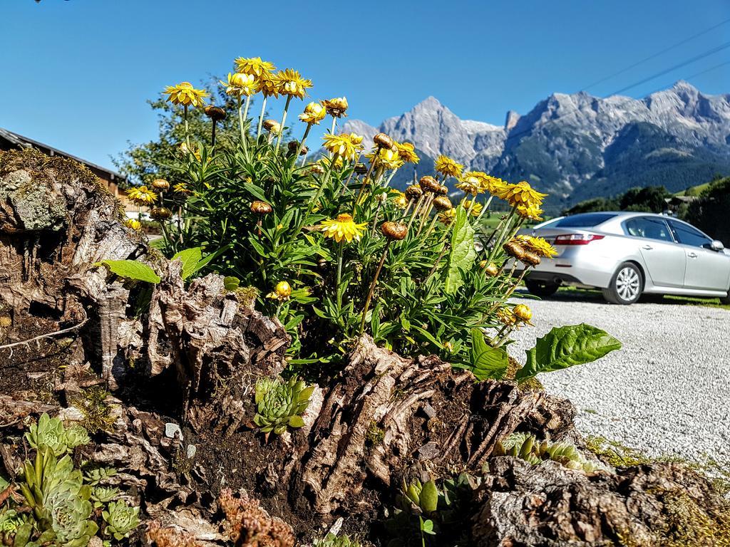 Biobauernhof Stegerbauer Apartamento Maria Alm am Steinernen Meer Exterior foto