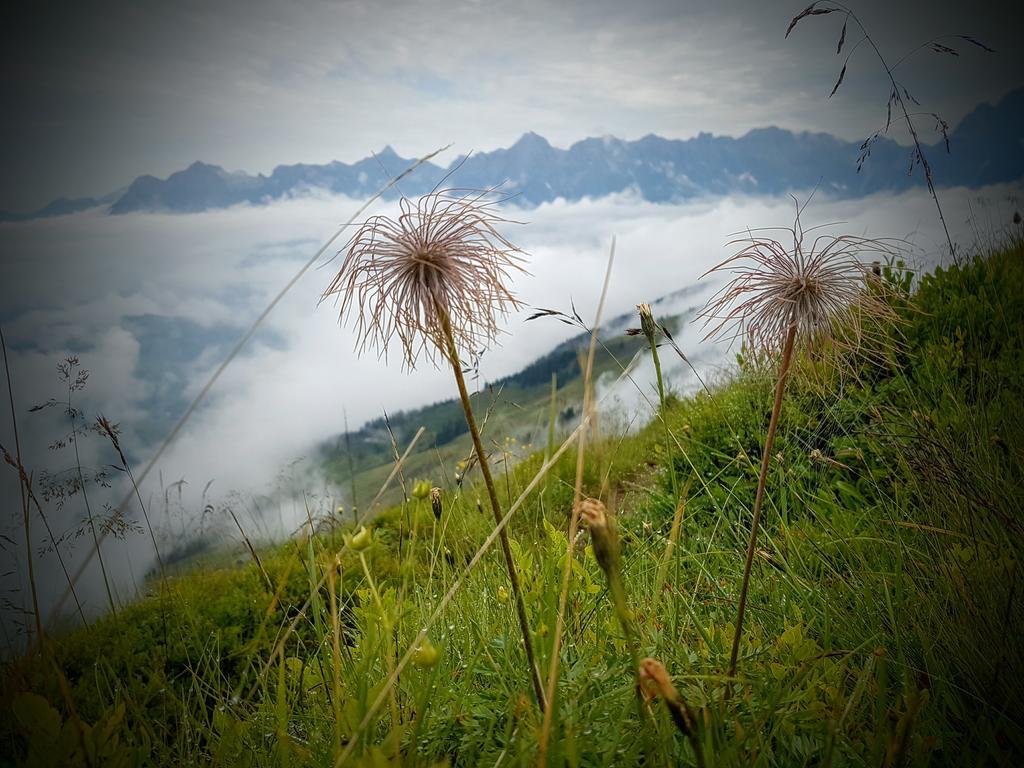 Biobauernhof Stegerbauer Apartamento Maria Alm am Steinernen Meer Exterior foto