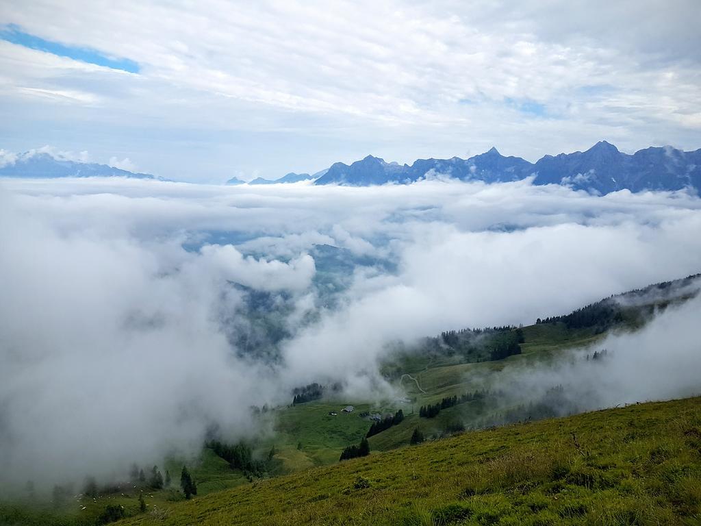 Biobauernhof Stegerbauer Apartamento Maria Alm am Steinernen Meer Exterior foto