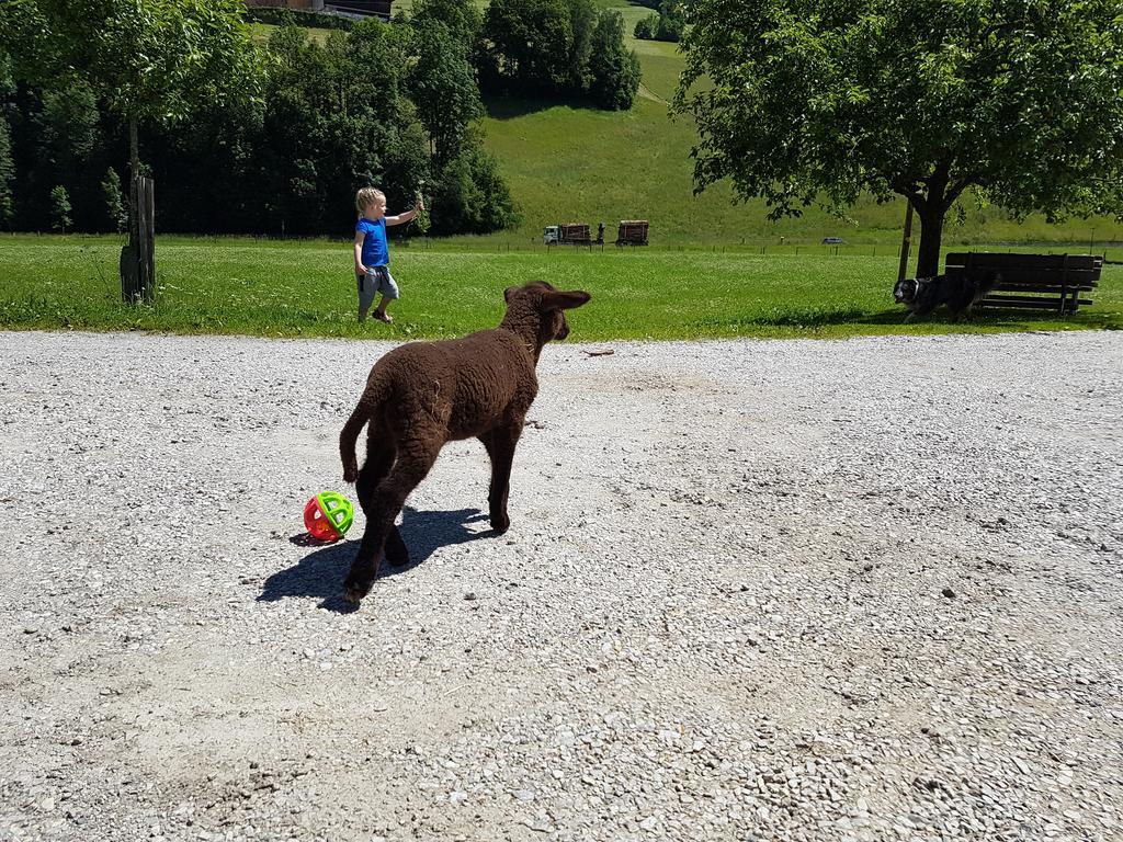 Biobauernhof Stegerbauer Apartamento Maria Alm am Steinernen Meer Exterior foto