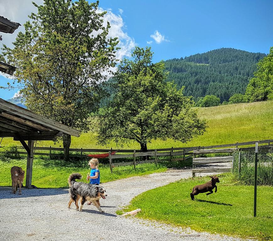 Biobauernhof Stegerbauer Apartamento Maria Alm am Steinernen Meer Exterior foto