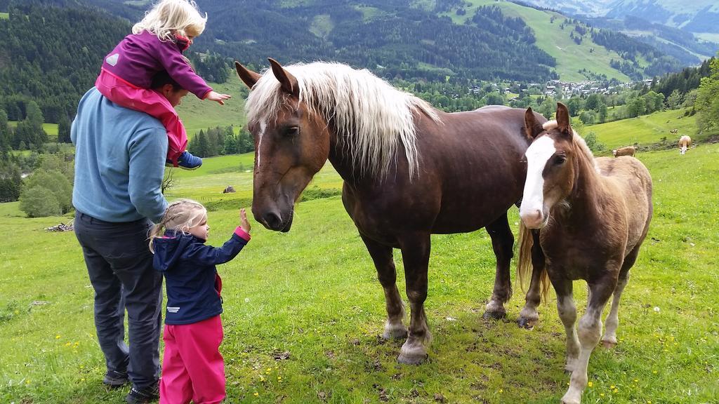 Biobauernhof Stegerbauer Apartamento Maria Alm am Steinernen Meer Exterior foto